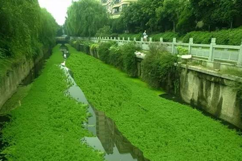 關(guān)于治理河道臭水的幾個誤區(qū)