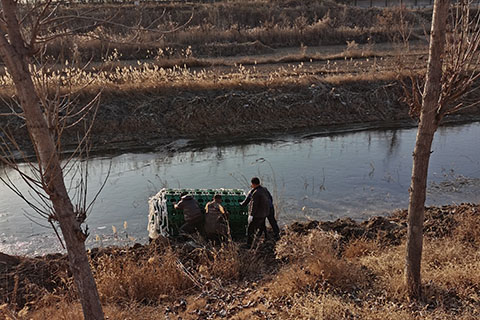 農(nóng)村生活污水治理